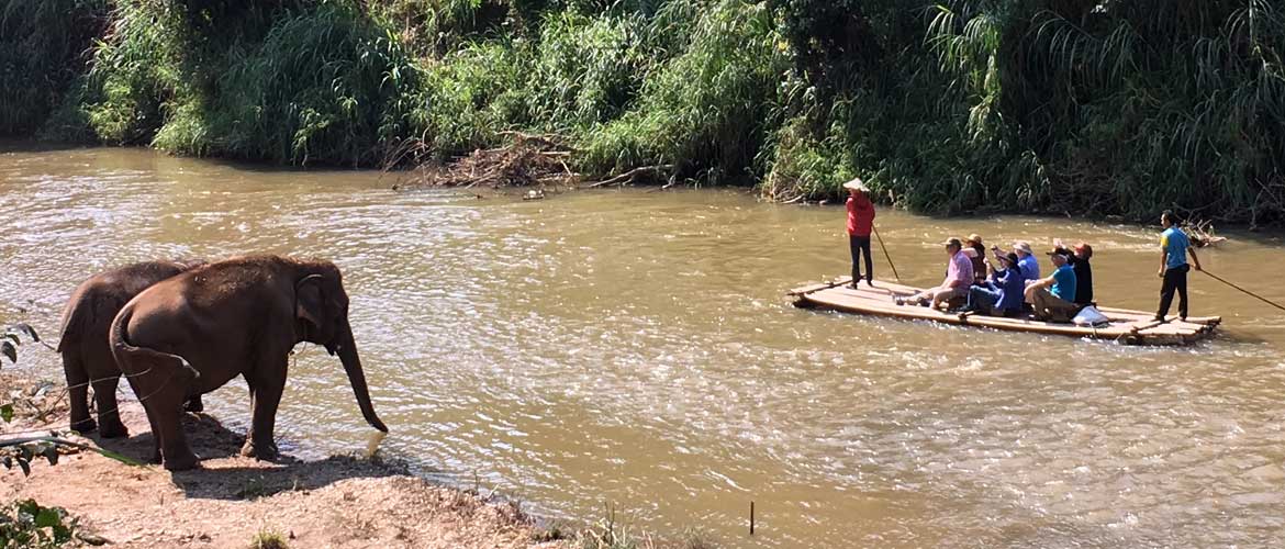 most popular Asian destinations for Canadians